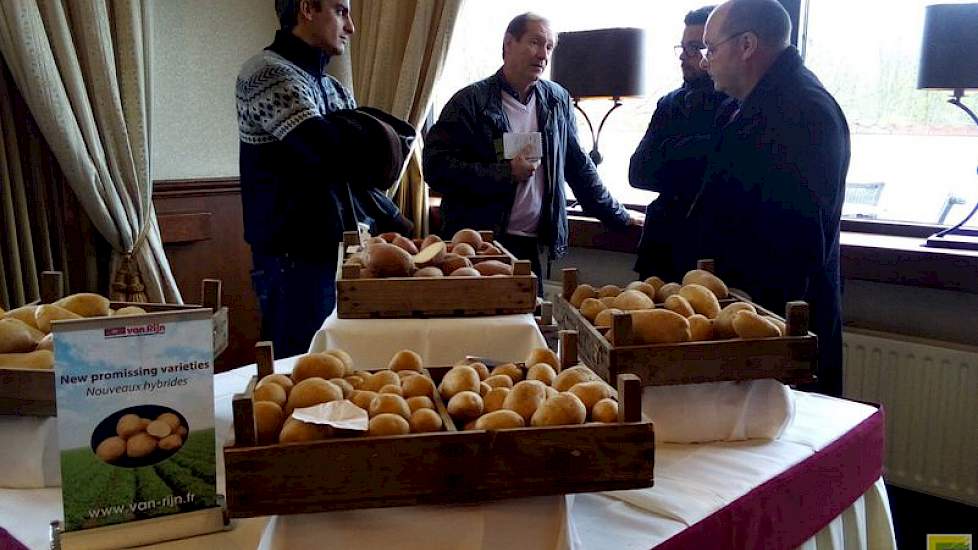 Van Rijn kijkt bij het kweken van nieuwe rassen sterk naar de markt waarvoor het ras is bedoeld. Het handelshuis wil een brede markt bedienen en niet alle afnemers hebben resistentie bovenaan het wensenlijstje staan, zegt Marc Hoogterp. ‘Goede schilkwalit