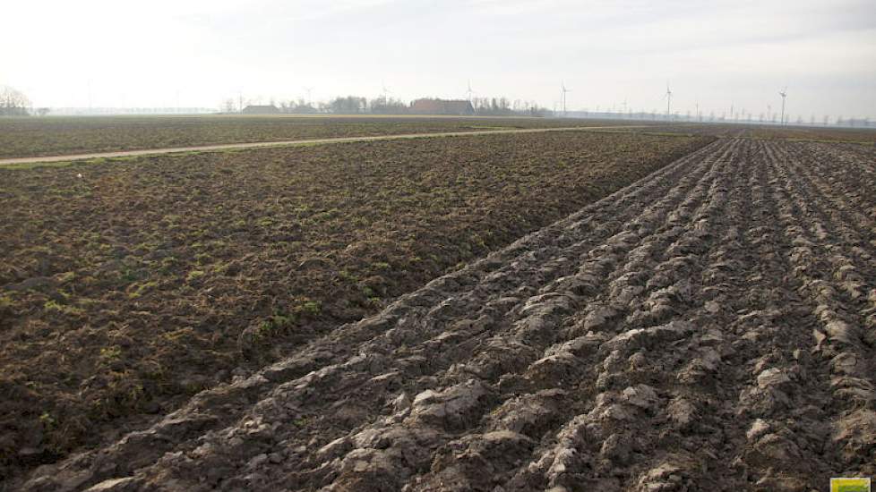 Het verschil tussen ploegen (rechts) en niet-kerend met woelen. Woelen in combinatie met niet ploegen pakt vaak goed uit in de opbrengsten.