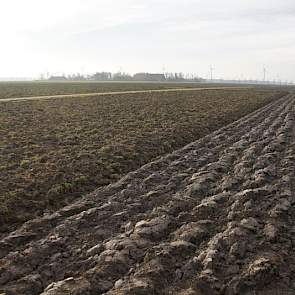 Het verschil tussen ploegen (rechts) en niet-kerend met woelen. Woelen in combinatie met niet ploegen pakt vaak goed uit in de opbrengsten.