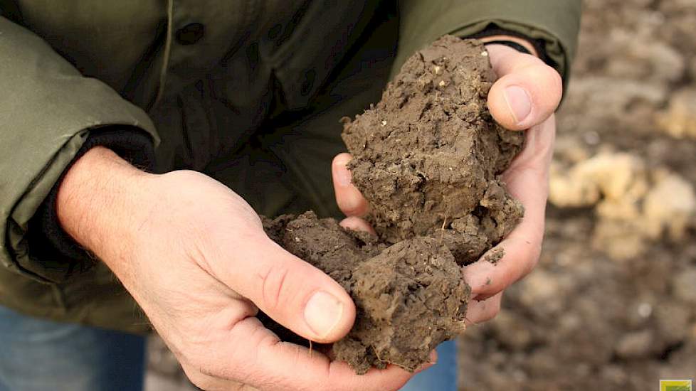 Van Balen zou wel wat meer systemen willen toevoegen aan de proef. Hij denkt aan ruggenteelt, strokenteelt en het werken met de ekoploeg. Zo zijn de voordelen van een fijner bed te combineren met minimale grondverplaatsing.