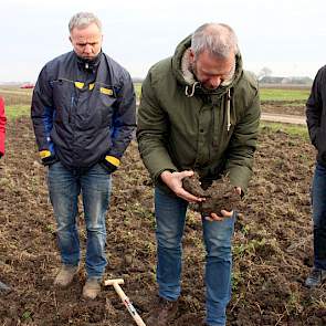 Van Balen toont dat de kluiten steviger zijn in niet-kerende delen van de proeven. Dat heeft als nadeel dat peen er moeilijker groeit.