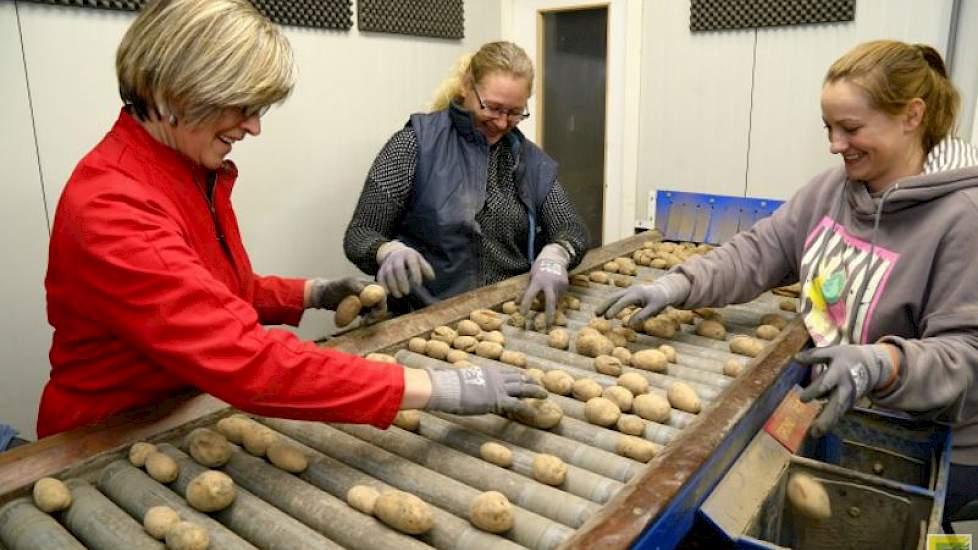 De leeskamer van Bouma is groot en voorzien van twee leestafels. ‘Als het moet, kunnen we hier met acht mensen aan het werk.’ Het aantal mensen dat leest is afhankelijk van hoeveel tarra in de partij zit en hoe druk het is. De snelheid is door middel van