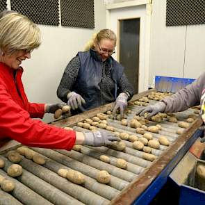 De leeskamer van Bouma is groot en voorzien van twee leestafels. ‘Als het moet, kunnen we hier met acht mensen aan het werk.’ Het aantal mensen dat leest is afhankelijk van hoeveel tarra in de partij zit en hoe druk het is. De snelheid is door middel van