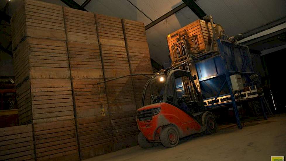 Johan Bos stort een kist met aardappelen leeg in de bunker. Dit is de aanvoer naar de voorsorteerder en vervolgens de leeskamer.