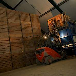 Johan Bos stort een kist met aardappelen leeg in de bunker. Dit is de aanvoer naar de voorsorteerder en vervolgens de leeskamer.