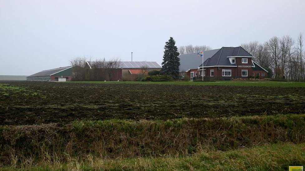 De boerderij van Van ’t Westeinde stamt uit 1960. In deze schuur staat de sorteermachine. Achter op het erf staan een aardappelschuur uit 1996, een pluimveestal uit 1997 en (niet zichtbaar op de foto) een schuur uit 2001.