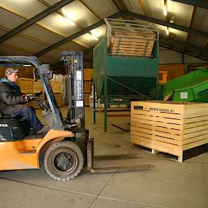 Nobel verzorgt met de heftruck de aanvoer van kisten bij de stortbunker en de afvoer van kisten met gesorteerde en gelezen aardappelen.