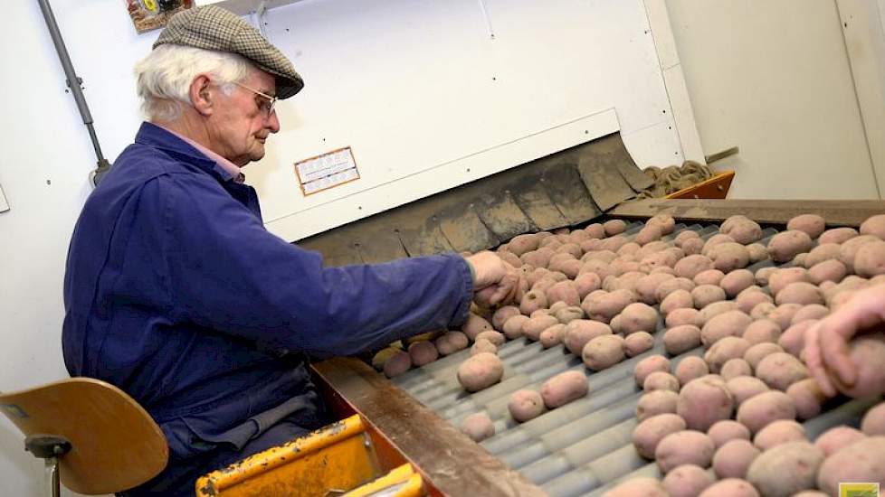 Hij leest samen met zijn vader George Hegge, die tegenover hem zit. De aardappelen worden eerst op maat gesorteerd en vervolgens per maat gelezen.