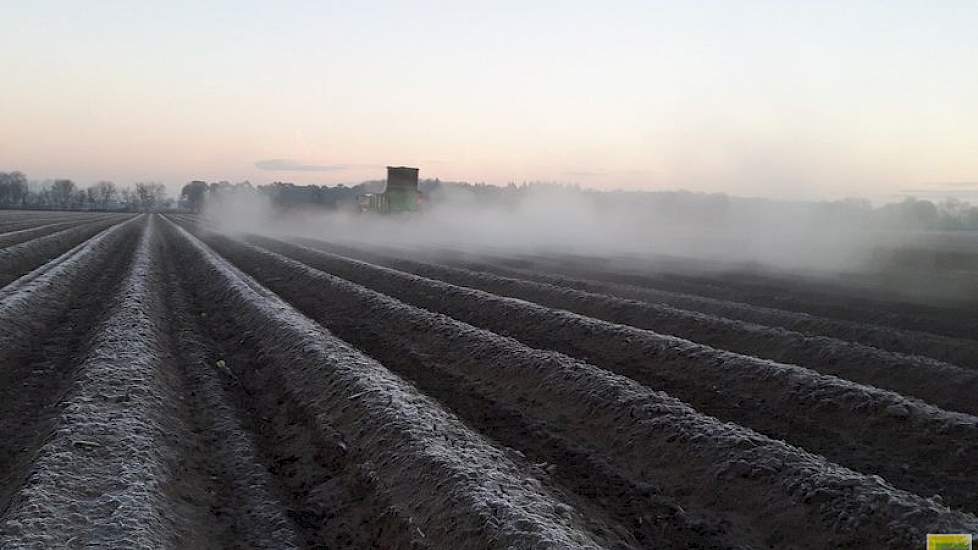 Rob Luysterburg uit Heerle strooit compost over de asperges. ‘Gaat werkelijk prachtig met de vorst.’