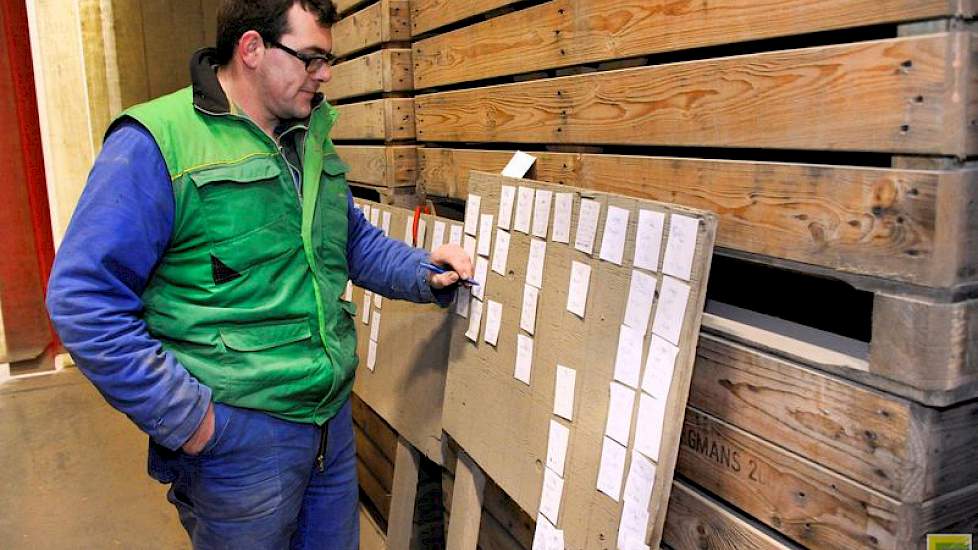 Ondanks alle automatisering is er ook nog 'ouderwets' handwerk te vinden. Medewerker Jildert Stienstra noteert op briefjes van welk aardappelras een kuubskist uit de koeling is gehaald.