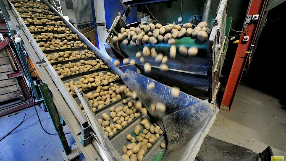 Eén van de sorteerlijnen van akkerbouwbedrijf en koelhuis Bergmans in Wijnaldum. Hierop worden momenteel aardappelen van het ras Memphis gesorteerd. Na het lezen worden de aardappelen in kisten gedraaid.