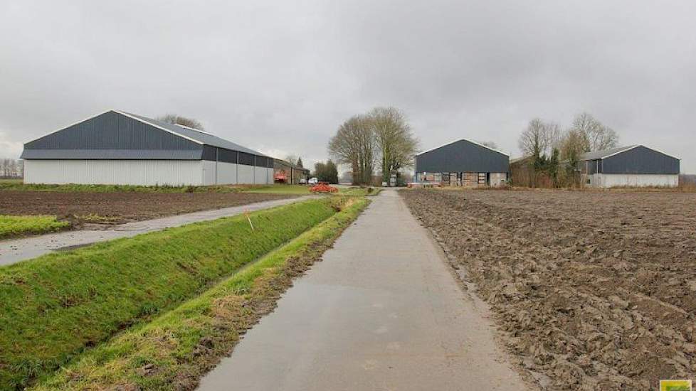 De bedrijfsgebouwen van Overbeeke stammen uit de periode 1965 tot 2011. Rechts van de weg staan drie schuren, de middelste (achter de bomen) is de oudste. Hierin staat de sorteerinstallatie. De meest rechtse schuur is de kistenbewaring met mechanische koe