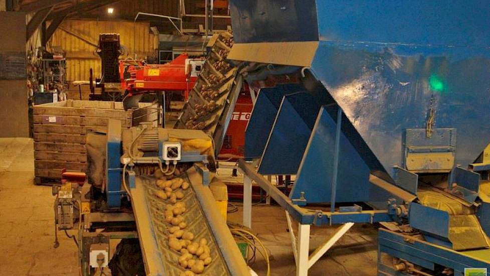 Na de leeskamer gaan de aardappelen via een transportband en rollenset naar de kistenvuller. De gevulde kisten gaan weer de koeling in. Al naar gelang de vraag gaan de aardappelen in kisten of in zakken van 25 of 50 kilo of jumbozakken.