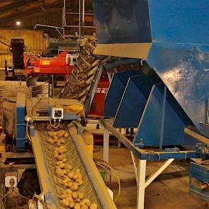 Na de leeskamer gaan de aardappelen via een transportband en rollenset naar de kistenvuller. De gevulde kisten gaan weer de koeling in. Al naar gelang de vraag gaan de aardappelen in kisten of in zakken van 25 of 50 kilo of jumbozakken.