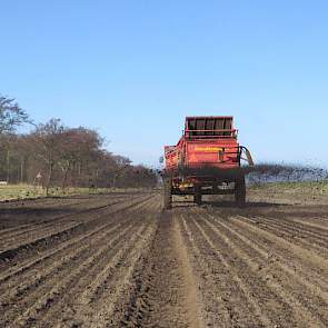 Na het zaaien rijdt hij compost uit over het land. Hiermee hoopt hij schade door verstuiven van de zandgrond te voorkomen. Bijkomend voordeel is volgens de akkerbouwer dat de grond dankzij de compost eerder opwarmt, waardoor het gewas makkelijker groeit.