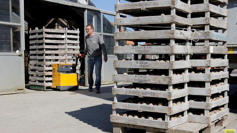 De aardappelen zijn in kiemkistjes in het donker bewaard. Recent heeft hij ze naar buiten gezet om de spruiten af te harden. Maar door de nachtvorst is de teler gedwongen de aardappelen iedere avond weer naar binnen te rijden, en ’s ochtends gaat de voorr