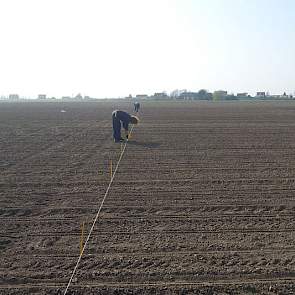 28 maart: Linksvoor ieder veldje wordt een piketje gezet, daaraan een label met enkele gegevens van het desbetreffende veldje.