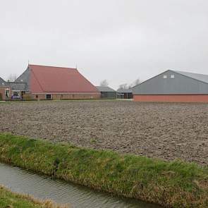 Jan van der Weg is de vierde generatie op de boerderij bij Hegebeintum.