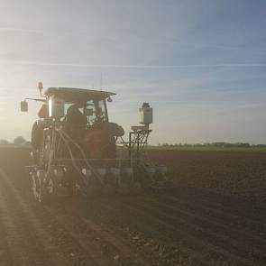 31 maart: De grond was gemakkelijk klaar te leggen, maar is onderin nog nat. Het zaad valt wel mooi op de vaste grond.