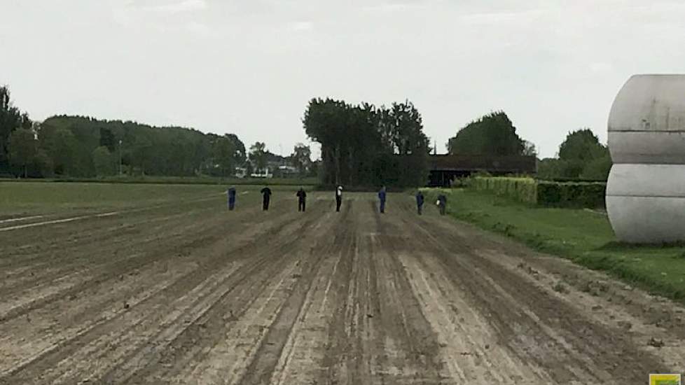 Bij het groot akkerbouwbedrijf Wilhelminapolder zijn meerdere medewerkers aan de slag om de opslag aan te pakken. ‘Even aanpakken’, twittert directeur Vincent Coolbergen.