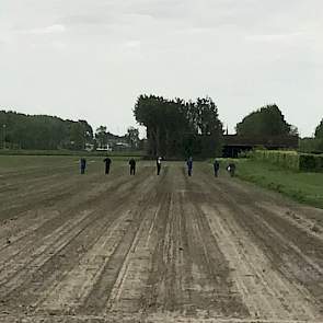 Bij het groot akkerbouwbedrijf Wilhelminapolder zijn meerdere medewerkers aan de slag om de opslag aan te pakken. ‘Even aanpakken’, twittert directeur Vincent Coolbergen.