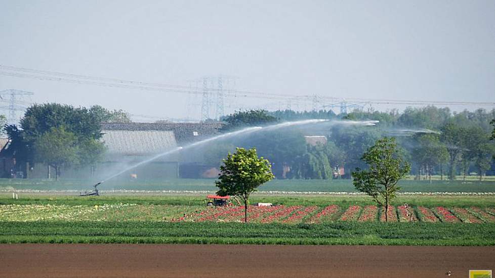 De Noord-Groninger weerman Jannes Wiersema plaatste een foto van een haspel in de tulpen. ‘Er wordt gewoon door beregend tijdens en na een bui. De droogte gaat door.’