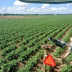 Ook Thijs Geerse gaat, zoals hij zelf zegt, rustig door met beregenen. ‘Vanavond gaan ze weer aan op de net gezaaide spinazie en de aardappels.’