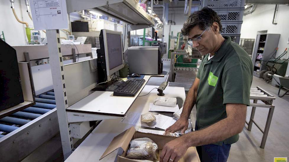 Elke dag brengen eigen koeriers van Eurofins alle monsters naar het lab. Vanaf zes uur in de ochtend werken in Wageningen 150 mensen aan alle analysestappen. Op deze foto de ontvangst van de monsters in zakken.