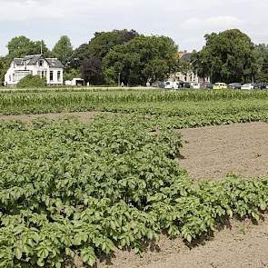 Pootgoed is bij een hoge duistdruk een mogelijkheid. Pootgoedtelers gaan weer grond huren op het Oldambt.