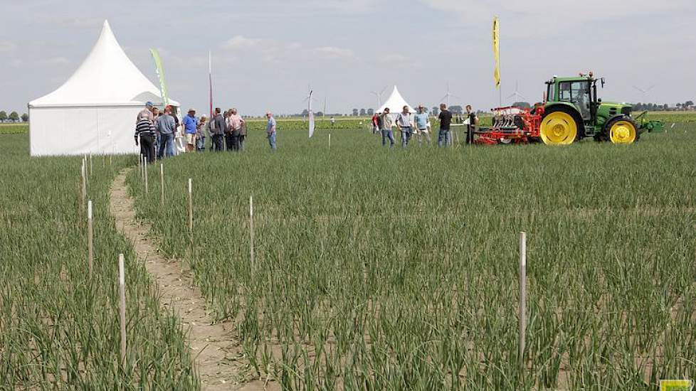 Uienteelt heeft de interesse van de Groningse telers weer. Proeven met telerssteun staan bij Ebelsheerd.