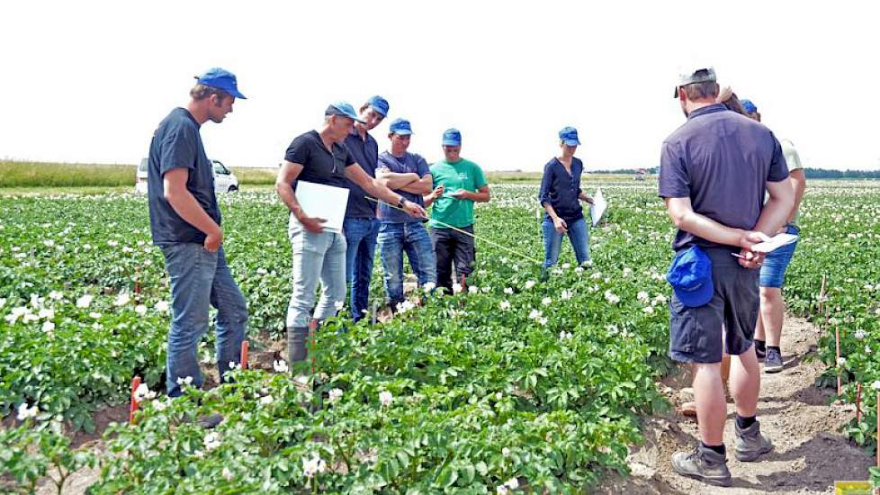 Kloosterboer en Jansen blijven hun praktische tips vaak herhalen. „Houd altijd het beeld van gezonde planten in je hoofd. Dan valt een verkeerde sneller op. Dat is de basis van selecteren.”