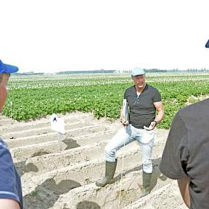 „Om goed te kunnen selecteren, moet je gezonde planten voor ogen hebben”, vertelt keurmeester Kloosterboer. „Pas dan kun je zien wat er afwijkt.”