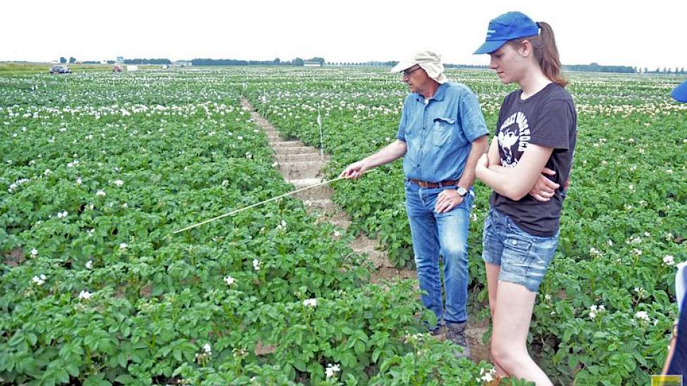 Met keurmeester Bert Jansen gaan ze verder het veld in. Zijn eerste praktische tip voor de cursisten: Selecteer van de zon af. „Anders krijg je een verkeerd beeld van het gewas.  Je moet de bovenkant van het blad zien, dus ga tegen de wind in.”