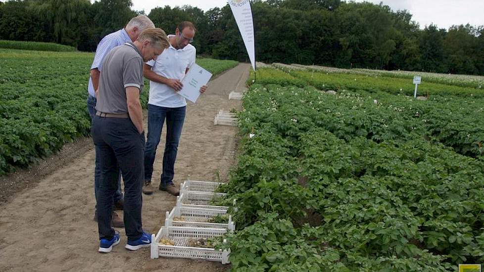 Bewaring met ethyleen of met Talent levert een beter tal op bij veel pootgoedrassen. Olaf van Campen van Adama laat bezoekers van de open dag in Wieringerwerf zien dat het effect van verschillende middelen sterk verschilt per ras pootaardappelen. De Talen