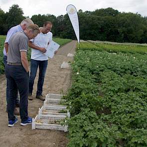 Bewaring met ethyleen of met Talent levert een beter tal op bij veel pootgoedrassen. Olaf van Campen van Adama laat bezoekers van de open dag in Wieringerwerf zien dat het effect van verschillende middelen sterk verschilt per ras pootaardappelen. De Talen