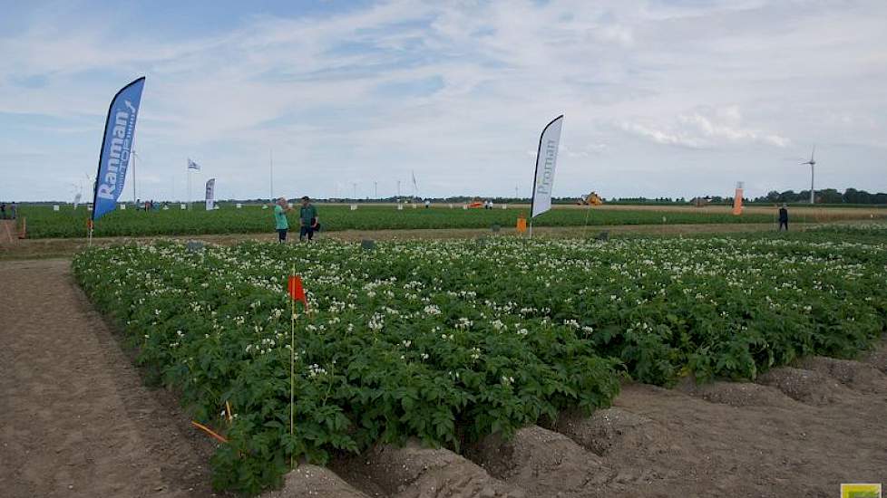 Vriendelijker bodemherbiciden en loofdoding met een middel van natuurlijke afkomst zijn de onderwerpen bij de veldpresentatie van Belchim Crop Protection in Wieringerwerf.