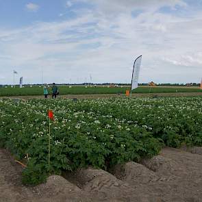 Vriendelijker bodemherbiciden en loofdoding met een middel van natuurlijke afkomst zijn de onderwerpen bij de veldpresentatie van Belchim Crop Protection in Wieringerwerf.