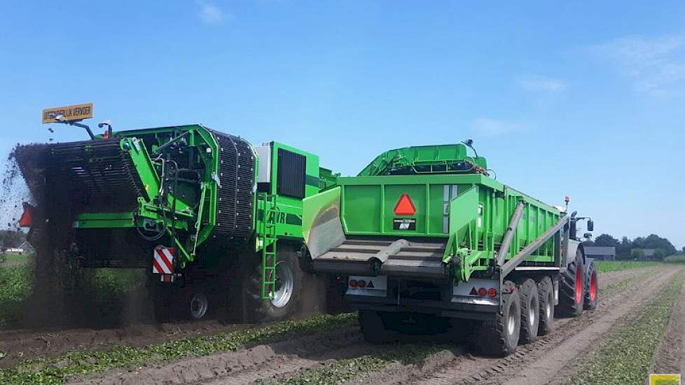 In Milheeze werden Premieres gerooid. De aardappelen worden direct op de vrachtauto geladen met behulp van een hooglosser. De opbrengst was beneden gemiddeld. Gevolg van de droogte aldus Han Kuunders.