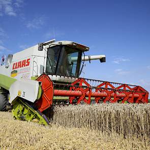 Boone hoopt vandaag weer door te kunnen met dorsen. Het loonbedrijf Van der Maas heeft nog enkele dagen werk in de regio om van alle klanten de tarwe eraf te hebben.