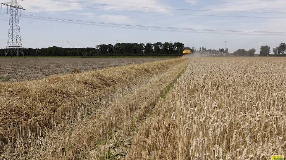 Akkerbouwer Hendri Witkop wil zo min mogelijk bodemverdichting op deze grond. Daarom lossen de medewerkers de combine op de kopakker of het kavelpad. „Dat kost wat meer tijd. Het kan zo 15 tot 20 procent langer duren. Je ziet ook dat de graantank dan net