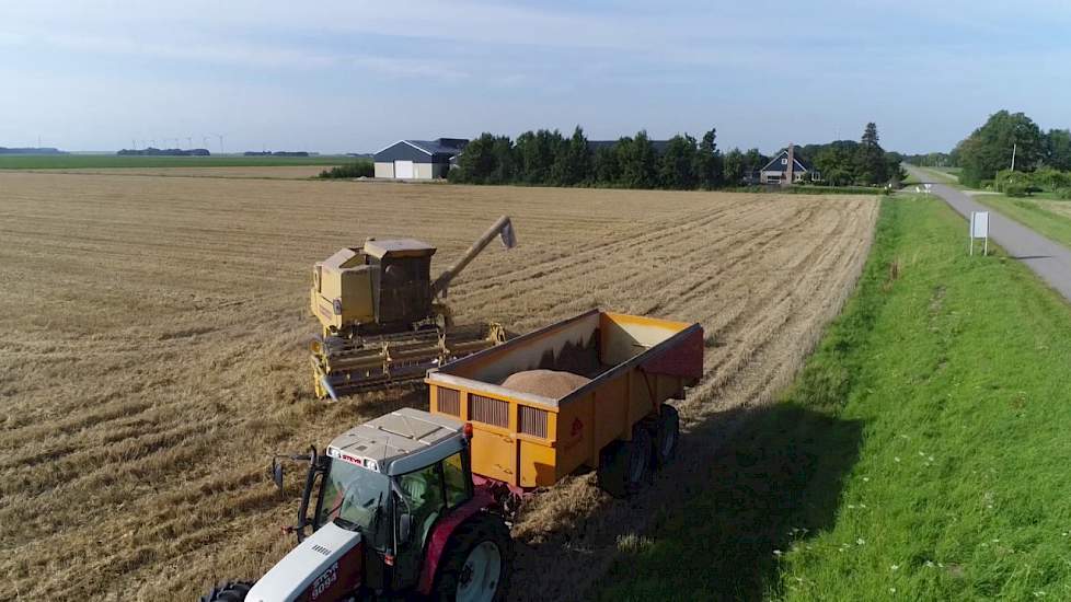 Tarwe oogsten in Swifterbant - www.akkerwijzer.nl