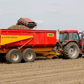 Eerder deze week rooiden Van Dijke en Dieleman aardappelen van het ras Derby, gisteren zijn ze begonnen in het perceel Spunta. Het rooien verloopt redelijk goed, zegt Van Dijke. De aardappelen zijn bestemd voor de vroege export.