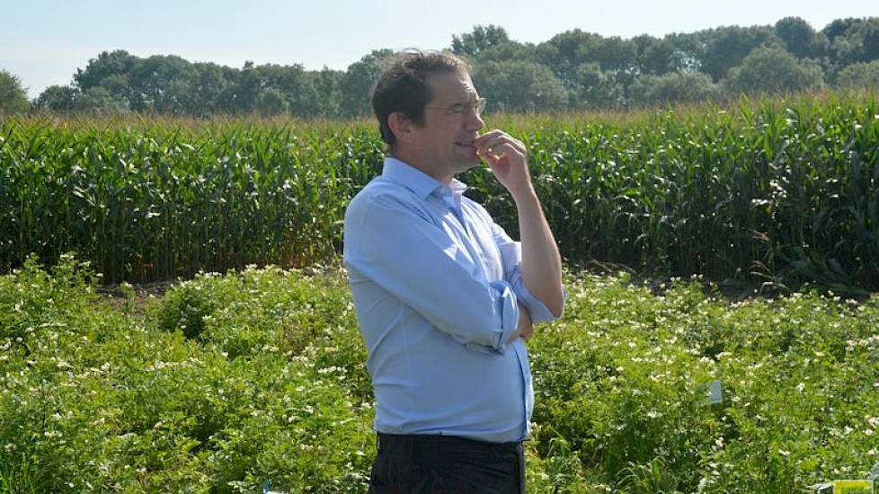 Solynta is niet van plan zelf een nieuw aardappelras op de markt te zetten. Daarvoor is het in gesprek met ‘redelijk wat handelshuizen. Wij leveren het zaad en het handelshuis maakt daar pootgoed van, of verkoopt het zaad.’ Volgens algemeen directeur Hein