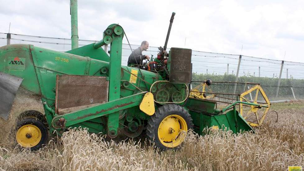 De Tybalt bracht ongeveer 7,5 tot 8 ton per hectare op. Een opbrengst waar Lijster tevreden mee was.