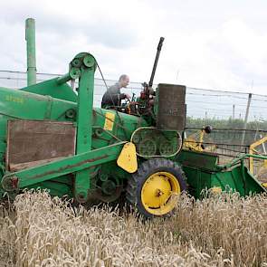 De Tybalt bracht ongeveer 7,5 tot 8 ton per hectare op. Een opbrengst waar Lijster tevreden mee was.