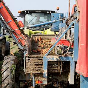 Ook de stadsboerderij beschikt over een Asalift peenrooier