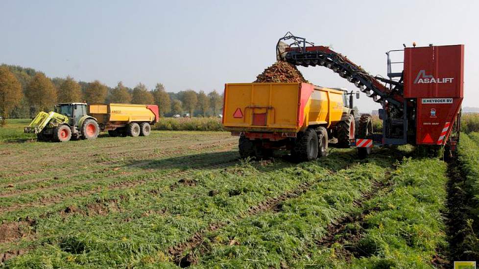 Het perceel is 10 hectare groot