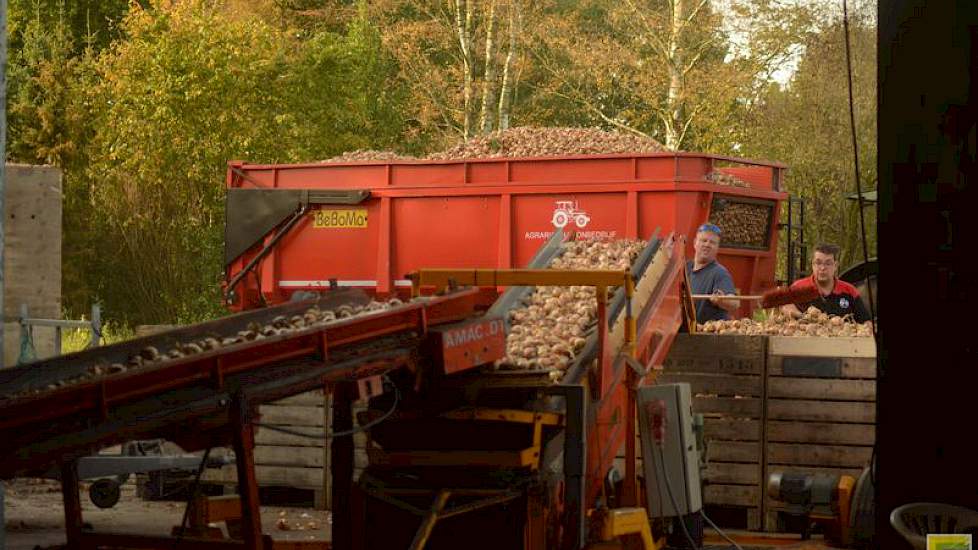 Haaijer verzorgt in loonwerk het zaaien en rooien van 400 hectare uien. Voor zijn eigen akkerbouwbedrijf teelt hij 15 hectare uien.