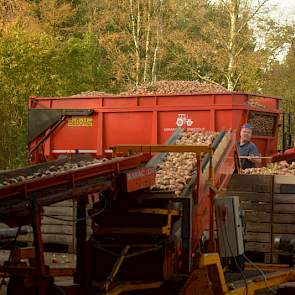 Haaijer verzorgt in loonwerk het zaaien en rooien van 400 hectare uien. Voor zijn eigen akkerbouwbedrijf teelt hij 15 hectare uien.