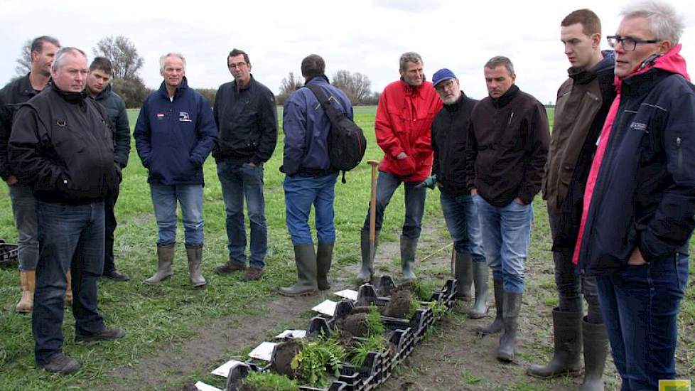 Ook bespreken de akkerbouwers de verkruimeling en hoe het zaaibed na de verschillende groenbemesters is voor het volgende gewas. Ook onder meer de invloed van deze bemesters op fosfaat en kali wordt nog onderzocht. Uiterst rechts op de foto Wiepie Haagsma